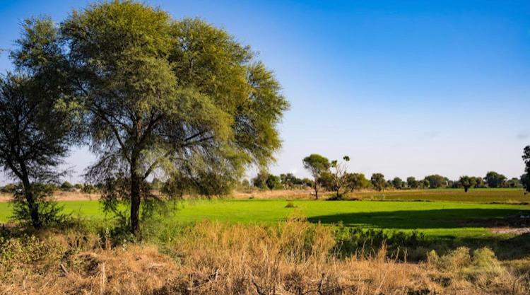 Ananya Farms Paradise Jodhpur  Dış mekan fotoğraf