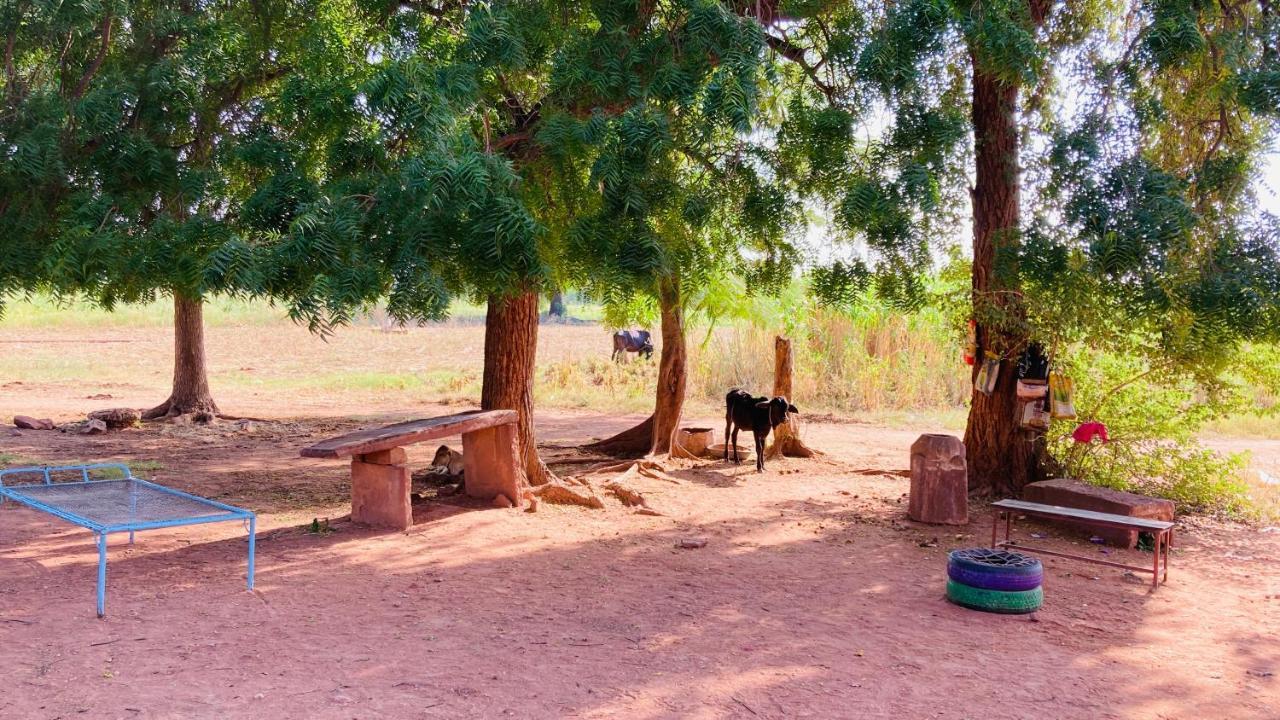 Ananya Farms Paradise Jodhpur  Dış mekan fotoğraf